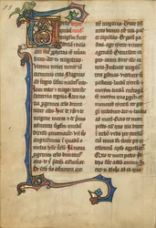 Decorated Initial V